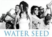 Water Seed | Wonder Love